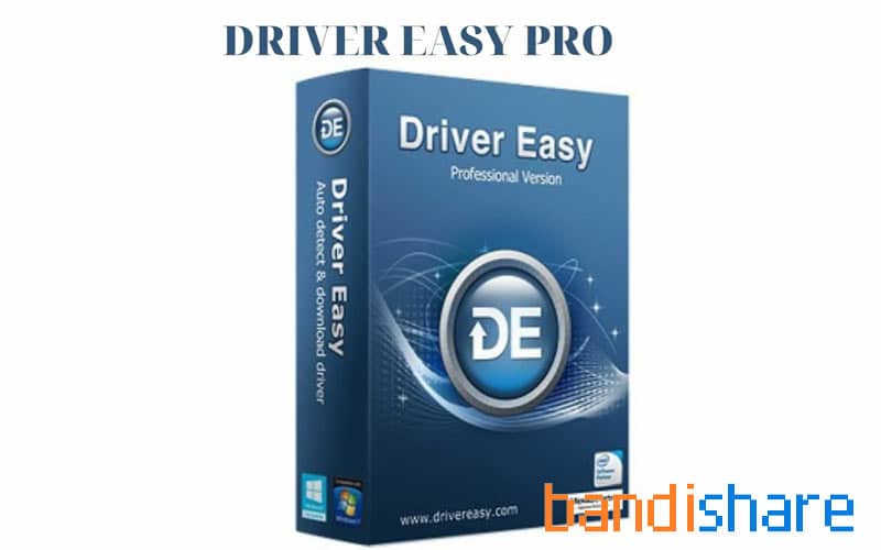 driver-easy